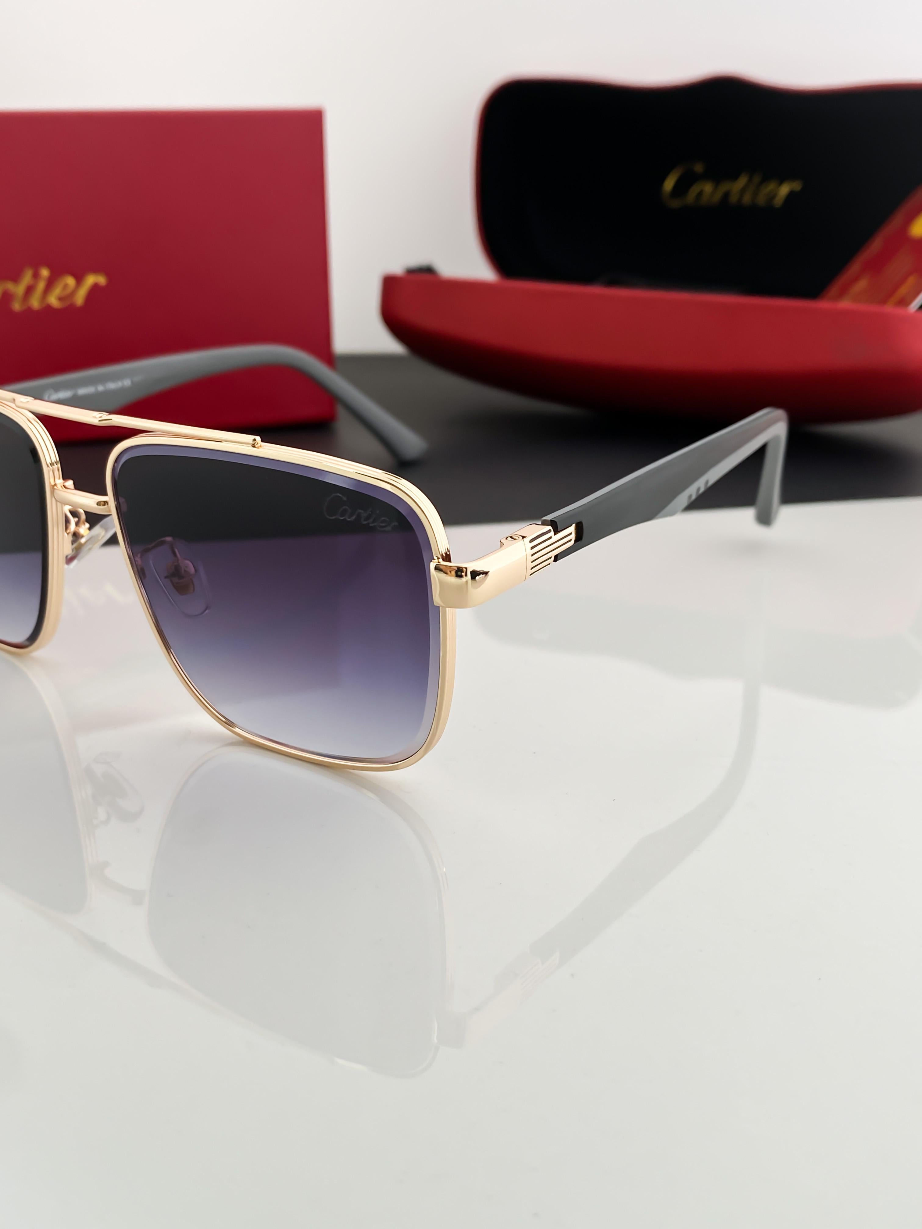 CA_RT_IER GOLD BLACK SHADED 23400 B